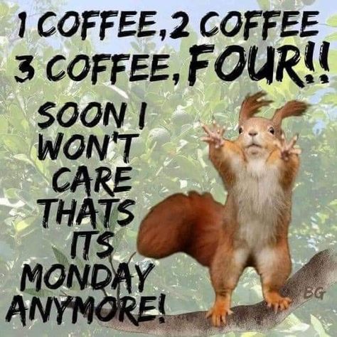 Coffee Humor Monday, Jaggery Powder, Happy Monday Images, Saturday Humor, Psychology Humor, Growth Business, Good Morning Happy Monday, Good Morning Funny Pictures, Monday Memes