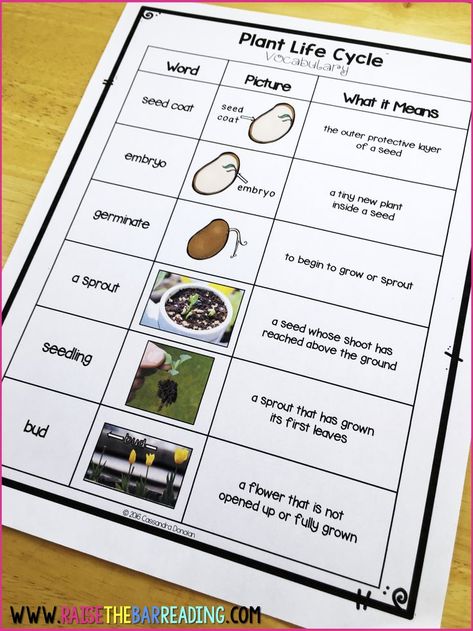 Five Tips for Building ELLs’ Academic Vocabulary: A teaching blog post on how to build your English Language Learner's academic, or content area, vocabulary in your classroom. These tips work for ELLs of all levels, from beginning to advanced English acquisition. Teaching ESL, ELL Resources for Science, Social Studies and more. Raise The Bar Reading, Ell Resources, English Language Learners Activities, Interpersonal Communication Skills, Educational Websites For Kids, Third Grade Activities, Eld Ideas, Teaching Esl, Esl Teaching Resources