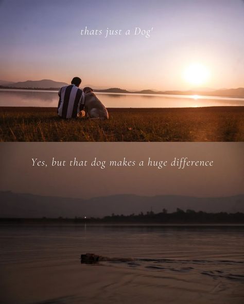 A photo of a dog sitting next to his hooman, looking up at him with adoring eyes. The hooman is petting the dog's head, and the background is a dusk Overlaid on the photo is the quote "Dogs are not our whole life, but they make our lives whole." written in white and cursive font. The pin also features hashtags including "doglove", "loyalcompanion", and "mansbestfriend". Dogs And Humans Quotes, Some Bonds Are Unbreakable Quotes, Dog Love Quotes Unconditional, Unbreakable Quotes, Dog Loyalty Quotes, Lines For Best Friend, Relationship Captions, Love And Loyalty, Bond Quotes