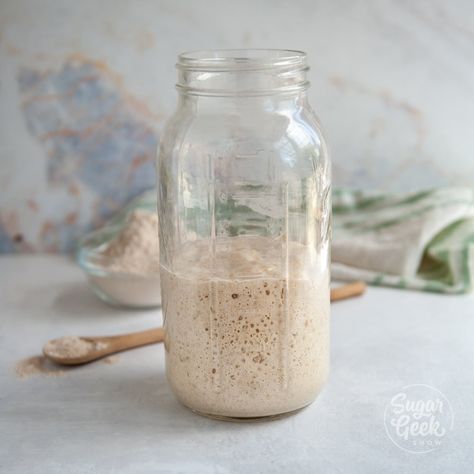 How To Make Sourdough Starter For Beginners – Sugar Geek Show Crockpot Peach Butter Recipe, Gf Sourdough Starter, Easy Sourdough Recipes, Wheat Sandwich Bread Recipe, Pollo Mechado, Spelt Sourdough, Sourdough Starter From Scratch, Gluten Free Sourdough Starter, Blackberry Jam Recipes