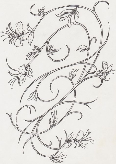 Rr. Honey suckle... I'm thinking go getting this is muted tones among my white lace Honeysuckle Tattoo, 16 Tattoo, Honey Suckle, Hip Thigh Tattoos, Vine Tattoos, Mother Tattoos, Estilo Hippie, Best Tattoo Designs, Elegant Tattoos