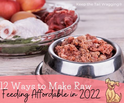 Dog Raw Diet, Raw Dog Food Diet, Tail Wagging, Raw Dog Food Recipes, Raw Diet, Dog Diet, Small City, Dog Care Tips, Gas Prices