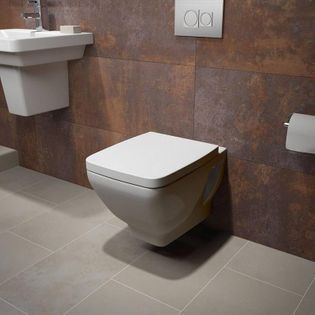 20+ Different Types of Toilets (A Complete Guide) – Home Awakening Loft Shower Room, Floating Toilet, En Suite Ideas, Cloakroom Ideas, Downstairs Wc, Contemporary Bathtubs, Corner Toilet, Small Toilet Room, Bathroom Wall Hanging