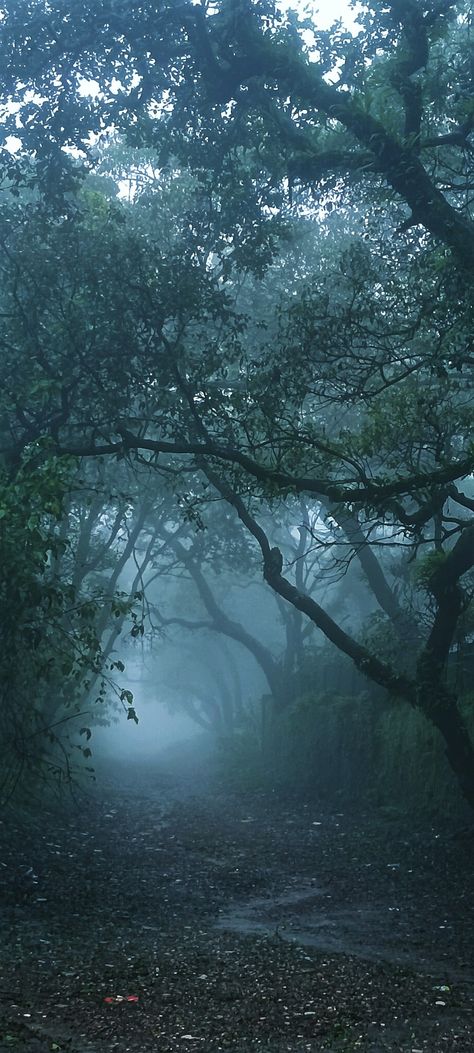 Misty weather of Mahabaleshwar, hill station in Maharashtra. Mahabaleshwar Photography, Insta Photography, Mahabaleshwar, The Cliff, Nature Aesthetic, Places To Travel, Places To Visit, Photography, Travel