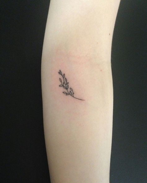 49+ Beautiful Olive Branch Tattoo Designs and Meaning For 2019 Tattoo Branch, Olive Tree Tattoo, Tiny Tree Tattoo, Olive Tree Tattoos, Olive Tattoo, Tree Sleeve Tattoo, A Small Tattoo, Tree Tattoo Arm, Olive Branch Tattoo