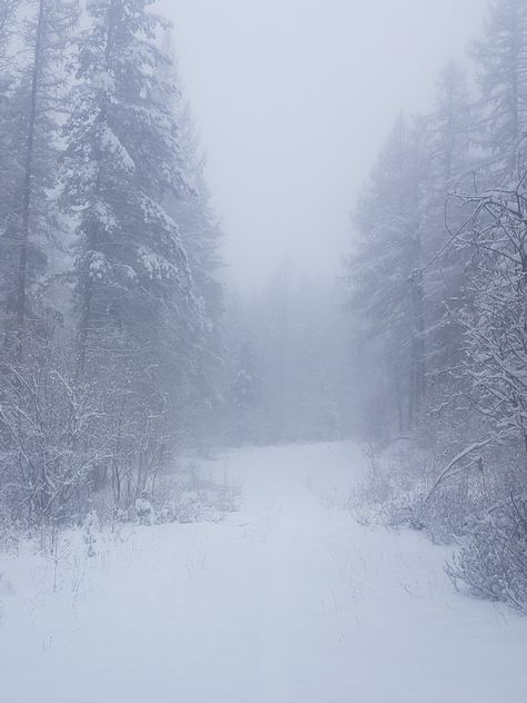 Khione Aesthetic, Snow Queen Aesthetic, Snowy Field, I Love Snow, Queen Aesthetic, Weather Seasons, I Love Winter, Winter Love, Yearly Calendar