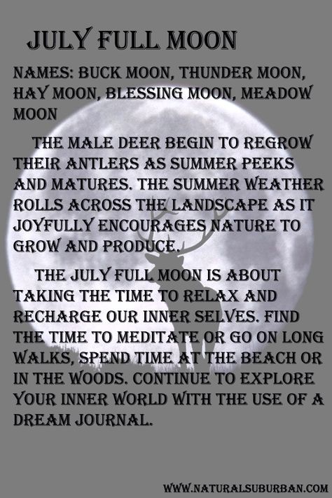 A look at July's full moon from a personal perspective.                                                                                                                                                      More July Full Moon 2024, Moon Months, July Full Moon, Moon Watching, Full Buck Moon, Full Moon Names, Witches Kitchen, Thunder Moon, Moon Board