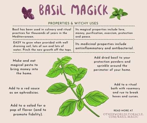 Basil Magic, Ways To Use Basil, Benefits Of Basil, Witches Garden, Basil Tea, Easy Herbs To Grow, Basil Herb, Dried Basil Leaves, Magickal Herbs