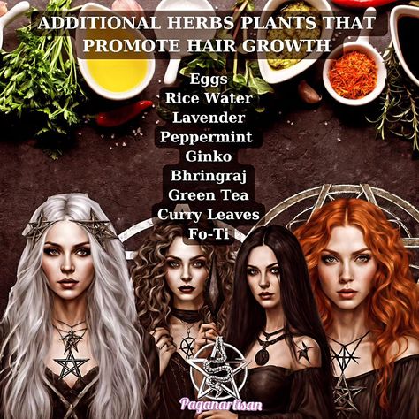 🌿🔮 Unlock the secrets of Pagan hair remedies that foster growth and maintain healthy locks!💆‍♀️ 👉 Pagan artisans have been using natural ingredients, herbs, and essential oils for centuries to keep their hair healthy and strong. Using the power of nature and ancient traditions, these remedies nourish the hair from root to tip, leaving it silky, strong, and beautiful. 🌿Rosemary and peppermint oils are known for their ability to stimulate hair growth and prevent hair loss. Adding these oils t... Spells For Hair Growth, Witchy Tips, Hair Magic, Promote Healthy Hair Growth, Hair Healthy, Power Of Nature, Stimulate Hair Growth, Hair Remedies, Natural Haircare