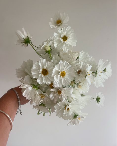 Fluffy en masse cosmos Bouquet has my heart ❤️‍🔥 No ordinary cosmos hand grown and frills for day from a local supplier. Elopements 🏹 want something elegant and romantic. We’ve got you! Wedding florals don’t have to be complicated. Let’s discuss all the things, booking 2025🙌🏽 Cosmos Bouquet, Wedding Florals, The Things, No Frills, Cosmos, Floral Wedding, Wedding Engagement, My Heart, Collage