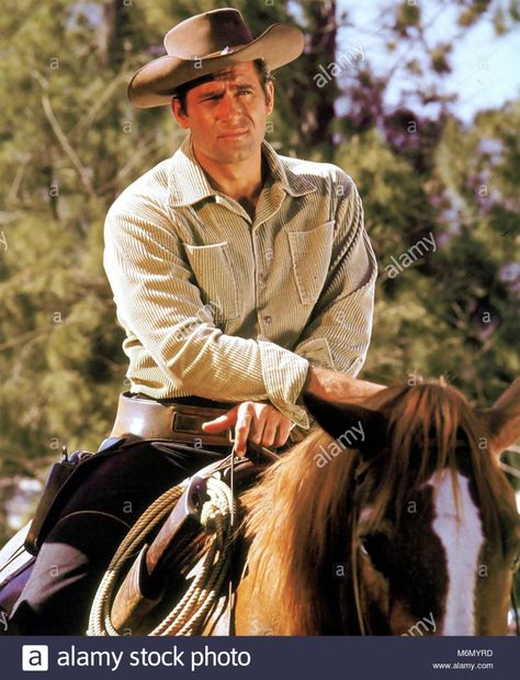 Cheyenne Tv Show, Clint Walker Actor, Cheyenne Bodie, Clint Walker, Western Hero, Hollywood Cinema, Tv Westerns, Western Movie, Famous Movies