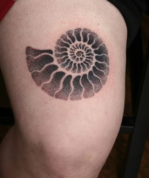 Pointillism Ammonite Tattoo - Done by Tom Salwoski Ammonite Tattoo, Chemistry Tattoo, Pointillism Tattoo, Science Tattoo, Science Tattoos, Brain Tattoo, Seashell Tattoos, Octopus Tattoo Design, Optical Illusion Tattoo