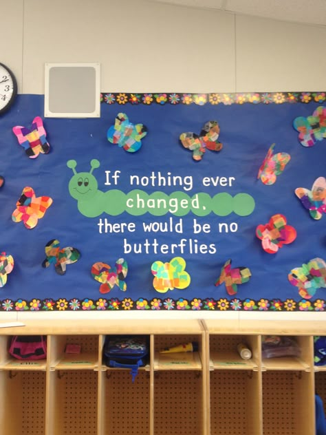 If nothing ever changed there would be no butterflies bulletin board Butterfly Bulletin Board, Door Bulletin Boards, Summer Bulletin Boards, Spring Bulletin, Spring Bulletin Boards, Preschool Bulletin, Church Bulletin Boards, Library Bulletin Boards, Preschool Bulletin Boards