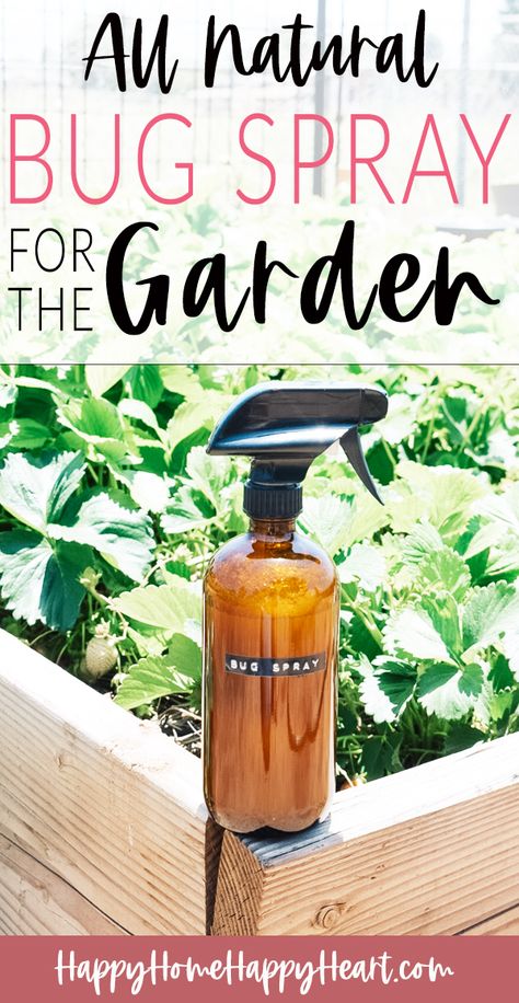 Insecticide For Plants, Homemade Bug Spray Recipe, Garden Bug Spray, Bug Spray For Plants, Pesticides For Plants, Garden Pest Spray, Homemade Insecticide, Diy Bug Repellent, Homemade Bug Spray