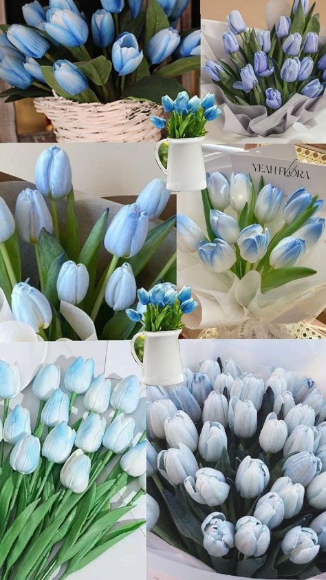 flowers wallpaper for iphone Tulips Flowers Wallpaper, Blue Tulips Wallpaper, Light Blue Tulips, Tulips Wallpaper, Flowers Tulips, Blue Tulips, Flowers Wallpaper, Pretty Wallpapers Backgrounds, Tulips Flowers