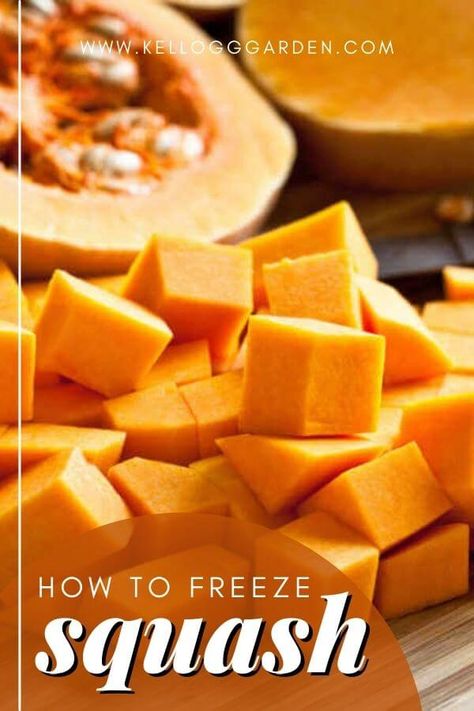 Can You Freeze Squash, Freezing Butternut Squash, Freeze Squash, Freezing Yellow Squash, Hubbard Squash Recipes, Freezing Spaghetti Squash, Freezing Squash, Squash In Oven, How To Cook Squash