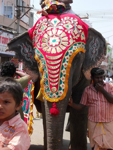 painted elephant Festival India. Three men accompanied the elephant – two on foot and one riding. Tattoo Elephant, Elephant India, Baby Elephant Nursery, Elephant Photography, Elephants Never Forget, Boho Elephant, Elephant Parade, Indian Temple, Elephant Painting