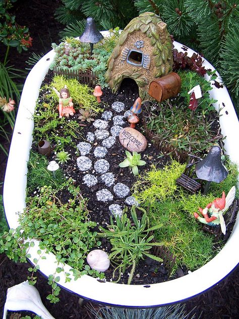 A different take on a raised bed and small-scale gardening.  "Large fairy garden by luvs2click, via Flickr" Large Fairy Garden, Fairy Garden Designs, Faeries Gardens, Fairy Garden Houses, Garden Terrarium, Diy Fairy, Fairy Garden Diy, Design Exterior, Miniature Fairy