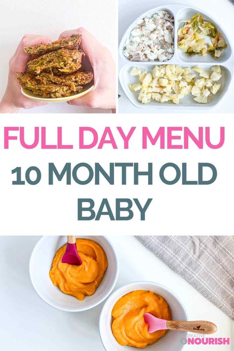 10 Month Old Meal Plan – Nutritionist Approved - Creative Nourish 11 Month Meal Ideas, 6 Month Old Food, Baby Meal Plan, Liquid Meals, 6 Month Baby Food, Free Meal Planner, Meal Planner Printable Free, Baby Food Chart, Weaning Recipes