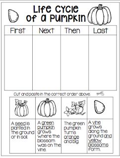 From Seed to Jack-o-lantern! Ink Practice, Life Cycle Of A Pumpkin, Pumpkin Lessons, Pumpkins Kindergarten, Pumpkin Unit, Pumpkin Craft, Pumpkin Activities, Fall Preschool Activities, 1st Grade Science