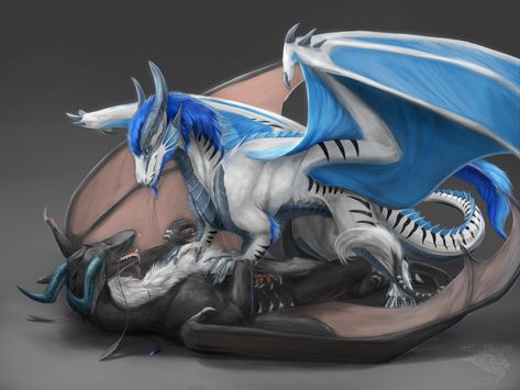 Dragon Kiss, Feathered Dragon, Mythical Dragons, Dragons Breath, Wings Art, Fantasy Beasts, Cool Backgrounds Wallpapers, Dragon Lover, Dragon Pictures