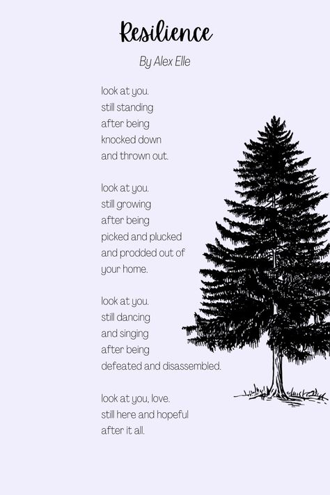 Resilience is the capability to recover quickly from the difficulties life throws one’s way. This poem written by Alex Elle has the title of Resilience. Elle uses this poem to emphasize the power resilience can hold. Poems About Resilience, Quotes About Resilience Strength, Quotes About Resilience, What Is Resilience, Alex Elle, Resilience Quotes, Elle Us, A Whole New World, Coping Skills