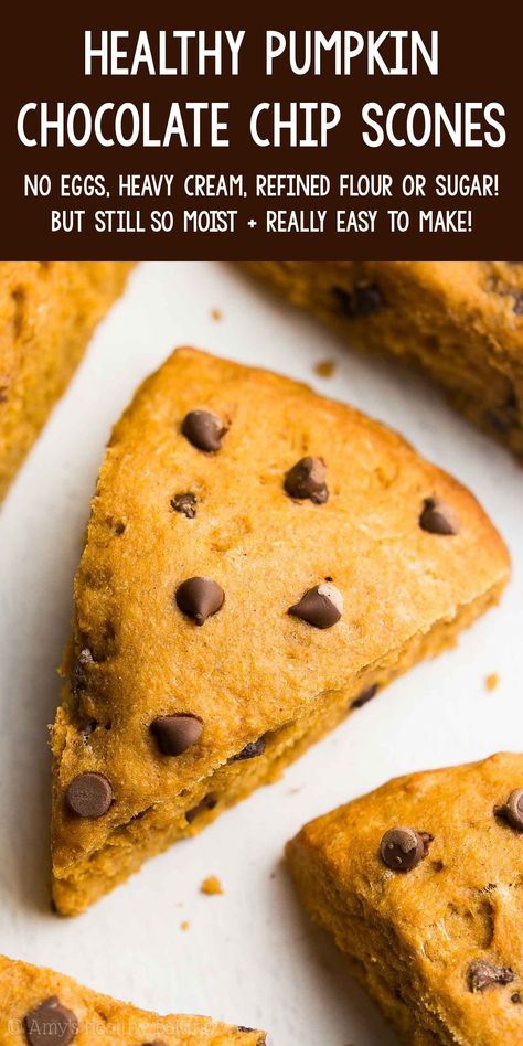 Healthy Pumpkin Chocolate Chip Scones – so moist & ready in just 30 minutes! The BEST pumpkin scones you'll ever have! ♡ best easy pumpkin scones recipe. eggless ww chocolate chip pumpkin scones. clean eating greek yogurt pumpkin scones. Clean Eating Pumpkin Recipes, Healthy Scones, Pumpkin Scones Recipe, Chocolate Chip Scones, Pumpkin Recipes Healthy, Pumpkin Scones, Healthy Chocolate Chip, Pumpkin Chocolate Chip, Scones Recipe