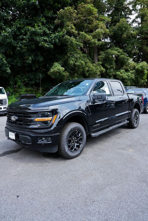 Your reliable partner for work and adventure this 2024 Ford F-150 XLT! 🗺️ 🛣️ (Stock#FE45303)  #HealeyBrothers #HudsonValley #HVNY #ford #fordf150 #f150 F150 Lifted, Poughkeepsie New York, Chevrolet Dealership, Ford F150 Xlt, New Hampton, Hudson Valley Ny, Chrysler Dodge Jeep, Car Auctions, Ford F 150