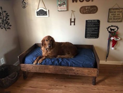 Xl Dog Bed Diy Ideas, Great Dane Bed Diy, Homemade Dog Beds For Large Dogs Diy, Living Room With Dog Beds, Diy Big Dog Bed, Diy Dog Bed Frame For Large Dogs, Elevated Dog Beds For Large Dogs, Great Dane Bed Ideas, Dog Bed Frame Diy