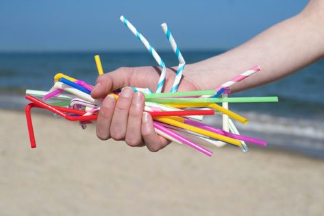 How to Use Less Plastic in Your Everyday Life - New Hampshire Magazine Fireworks Craft, Keep Looking Up, The Last Straw, Plastic Pollution, Plastic Items, Glass Straws, Plastic Containers, Paper Straws, Save The Planet