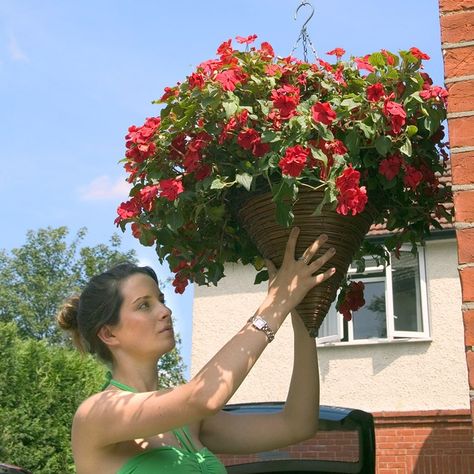 Hanging basket brackets