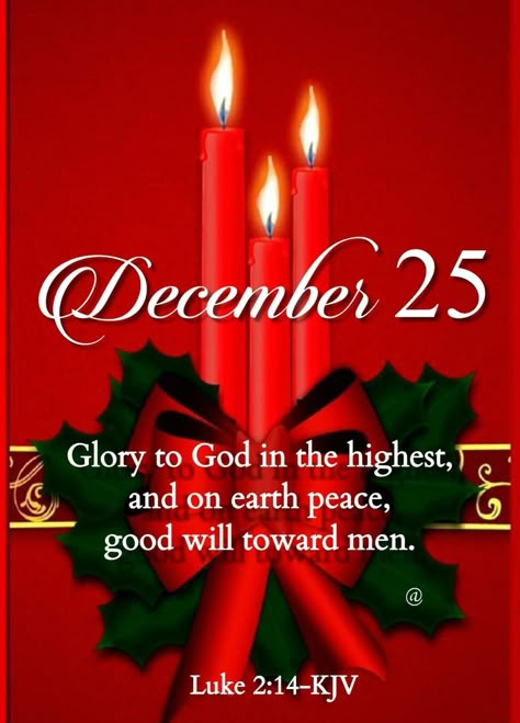 Christmas Morning Quotes, Christmas Office Party, Christmas Greetings Quotes, Christmas Greetings Messages, Good Morning Christmas, Christmas Verses, Christmas Scripture, Christmas Card Sayings, Christmas Prayer