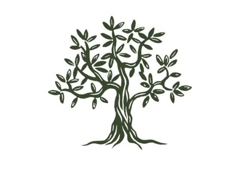 Olive Tree With Roots Tattoo, Olive Tree Line Art, Olive Tree Tattoo Design, Olive Tree Design, Olive Tree Illustration, Olive Tree Drawing, Olive Tree Logo, Olive Tree Tattoo, Olive Tree Tattoos