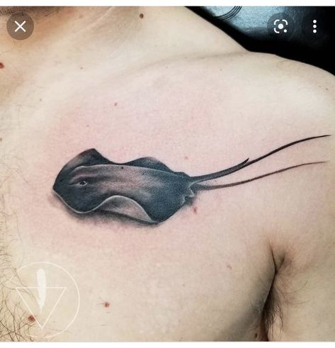 Ocean Sleeve Tattoos, Underwater Tattoo, Pair Tattoos, Stingray Tattoo, Ray Tattoo, Seashell Tattoos, Octopus Tattoo Design, Water Tattoo, Jellyfish Tattoo