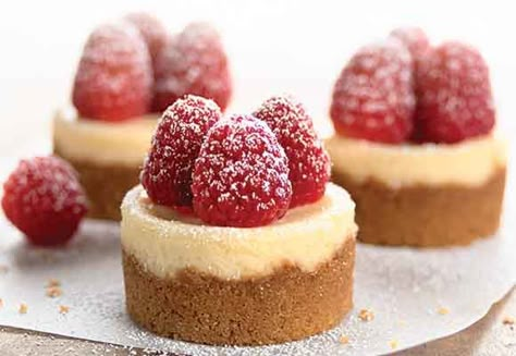 Single-serving cheesecakes baked in a special pan are the perfect finale to an elegant dinner. Mini Cheesecake Recipes, Desserts Keto, King Food, Small Desserts, Mini Cheesecakes, Savoury Cake, Sugar Rush, Mini Desserts, Mini Cakes