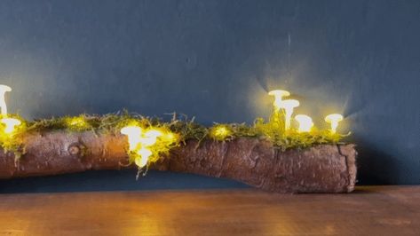 Dutch Artist Shares How to Make 'Magical' Mushroom Lights With Hot Glue Gun Mushroom Fairy Lights, The Hague Netherlands, Glue Art, Mushroom Lights, Mushroom Fairy, Tiktok Account, Crafts For Seniors, Light Crafts, Mushroom Decor