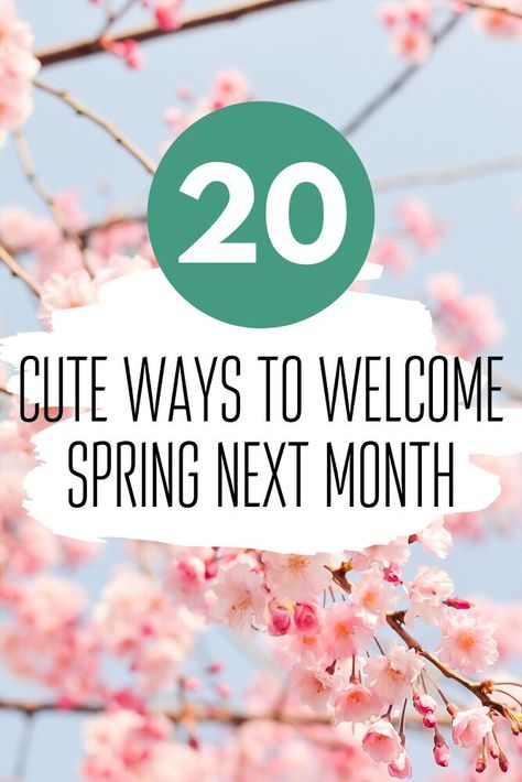 Decorate your home for spring on a budget with these easy diy ideas. Budget friendly home accents to make for spring. Mossy Wreath, Hanging Potted Plants, Bright Centerpieces, Vintage Screen Doors, Spring Chalkboard, Floral Lampshade, Simple Wall Decor, Faux Floral Arrangement, Decorative Bird Houses