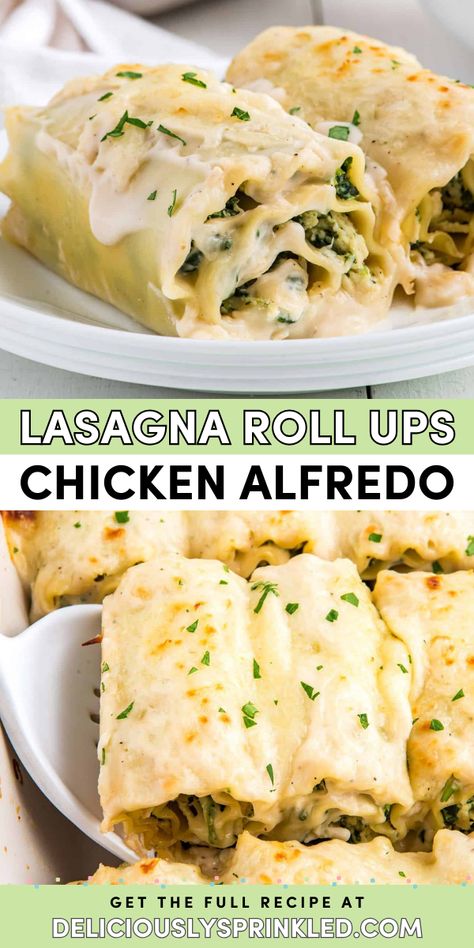 Always a perfect comfort food idea! This hearty dinner recipe is also great as leftovers for lunch later in the week. The whole family will love these chicken Alfredo lasagna roll ups that are deliciously creamy and cheesy! Chicken Alfredo Roll Ups, Alfredo Roll Ups, Chicken Alfredo Lasagna Roll Ups, Alfredo Lasagna Roll Ups, Chicken Alfredo Lasagna, Alfredo Lasagna, Lasagna Roll Ups, Healthy Baked Chicken, Lasagna Roll