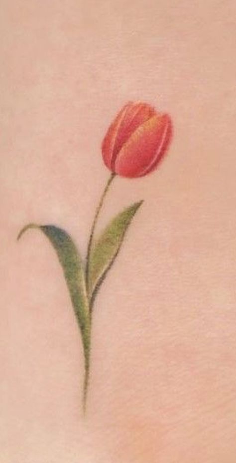 Delicate Tulip Flower Tattoo, Tulip Tattoo Hand, Orange Tulip Tattoo, Red Tulip Tattoo, Tulip Tattoos, Dutch Tattoo, Tulip Tattoo, Dutch Tulip, Memory Projects