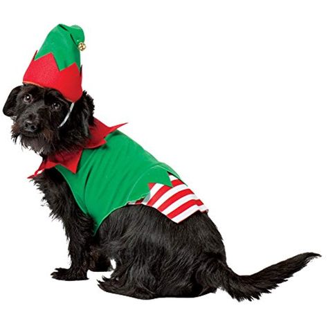 Dog Elf Costume, Cat Christmas Costumes, Costume For Dogs, Christmas Elf Costume, Elf Pets, Elf Clothes, Elf Costume, Dog Costumes, Pet Holiday