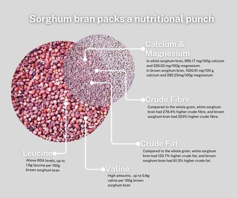 University Of Johannesburg, High Fiber Snacks, Fiber Snacks, Corn Maize, Whole Grain Cereals, Sorghum Flour, Essential Amino Acids, Improve Nutrition, Whole Grain Flour