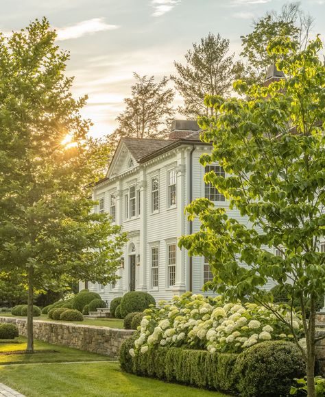 Colonial House Landscaping, Colonial Home Landscaping, Colonial Landscaping, Front Landscaping Design, London Plane Tree, Georgian Revival, Country Garden Design, Annabelle Hydrangea, Exterior Garden