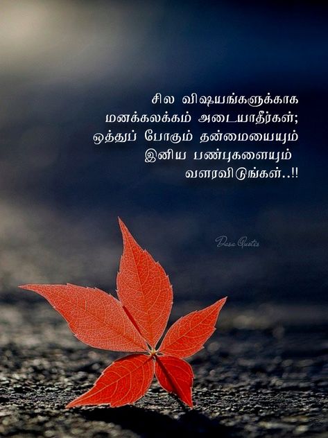 Tamil Wishes, Tamil Motivational Quotes, Good Morning Friends Quotes, Tamil Quotes, Photo Album Quote, Good Morning Friends, Motivational Quotes For Life, Friends Quotes, Best Quotes