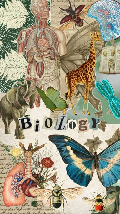 Biology Wall Art, Biology Binder Cover Aesthetic, Biology Classroom Aesthetic, Natural Science Cover Page, Biologist Wallpaper, Zoology Aesthetic Wallpaper, Biologi Aesthetic, Animal Biology Aesthetic, School Book Covers Designs