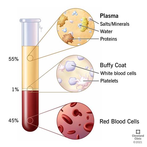 What is Plasma? Plasma Donation & Importance What Is Blood, Plasma Donation, Phlebotomy Study, Types Of Blood Cells, Medical Laboratory Science Student, Plasma Membrane, Medical School Life, Study Biology, Nursing School Motivation