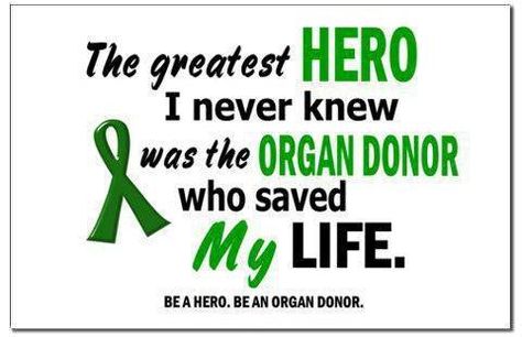 Organ+Donation+Quotes | ... register to be an organ donor. You could become someone’s hero Transplant Quotes, Organ Donor Quotes, Organ Donation Quotes, Donation Quotes, Living Kidney Donor, Organ Donation Awareness, Kidney Donor, Lung Transplant, Donate Life