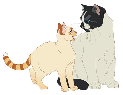 Warrior Cats Oc Drawing, Warrior Cats Designs, Warrior Cats Oc, Warrior Cat Memes, Warrior Cats Books, Oc Drawing, Cat Anatomy, Warrior Cats Fan Art, Warrior Cat Drawings