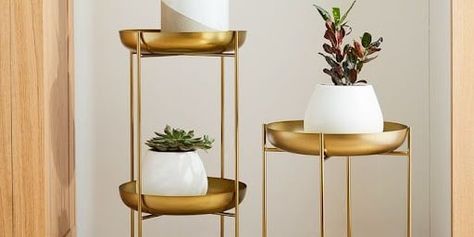 Spun Metal Plant Stand from West Elm – $89-$110 Tiered Plant Stand, Oversized Planters, White Ceramic Planter, West Elm Kids, Metal Plant Stand, Indoor Outdoor Planter, Plants Pots, Decor Shopping, Brass Texture