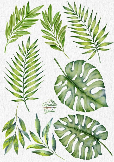 Tropical leaves. Exotic plants. Botanical illustration. Plants Botanical Illustration, Watercolour Plants, Cactus Doodle, Plants Watercolor, Leaves Watercolor, Leaves Illustration, Plant Tattoo, Watercolor Plants, Leaf Drawing