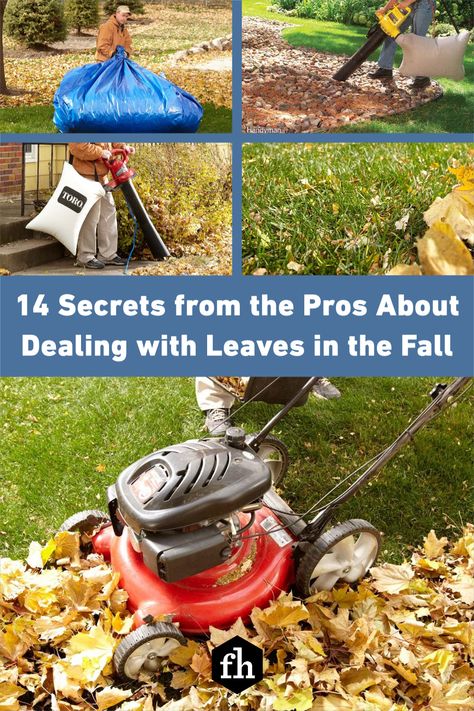 14 Secrets from the Pros About Dealing with Leaves in the Fall Leaf Removal Hacks, What To Do With Fall Leaves, Leaf Cleanup Hacks, How To Keep Leaves From Drying Out, Fall Yard Clean Up Checklist, Fall Yard Maintenance Checklist, Garden Clean Up Tips Fall, Backyard Cleanup, Fall Lawn Care Tips